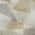 Ivory color or pattern variation