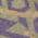 Purple color or pattern variation