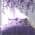Purple color or pattern variation