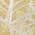 Gold color or pattern variation