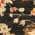 Black color or pattern variation
