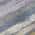 Purple color or pattern variation