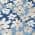 Blue color or pattern variation
