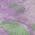 Lavender color or pattern variation