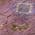Pink color or pattern variation