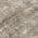 Brown color or pattern variation