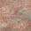 Coral color or pattern variation