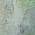 Teal color or pattern variation