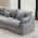 Gray  color or pattern variation
