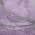 Lilac color or pattern variation