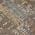 Coffee color or pattern variation
