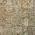 Brown color or pattern variation
