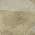 Beige color or pattern variation