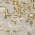 Beige color or pattern variation