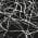 Black color or pattern variation