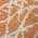 Orange color or pattern variation