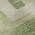 Green color or pattern variation