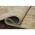 Antique / Sage