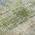 Green color or pattern variation