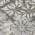 Gray color or pattern variation