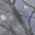 Purple color or pattern variation