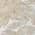 Ivory color or pattern variation