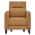 Saddle Brown color or pattern variation