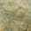 Brown color or pattern variation