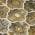 Brown color or pattern variation