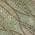 Olive color or pattern variation