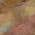 Orange color or pattern variation