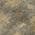 Taupe color or pattern variation