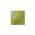 Gray/Green color or pattern variation