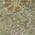 Olive color or pattern variation
