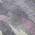 Purple color or pattern variation