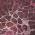 Merlot color or pattern variation
