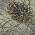 Granite color or pattern variation