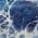 Navy color or pattern variation