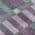 Plum color or pattern variation