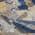 Navy color or pattern variation