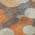 Orange color or pattern variation