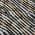 Black color or pattern variation
