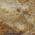 Walnut color or pattern variation