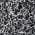 Black / White color or pattern variation