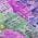 Purple color or pattern variation