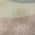 Beige color or pattern variation