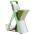 Green color or pattern variation