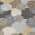 Gray color or pattern variation