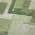 Green color or pattern variation