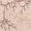 Ivory color or pattern variation